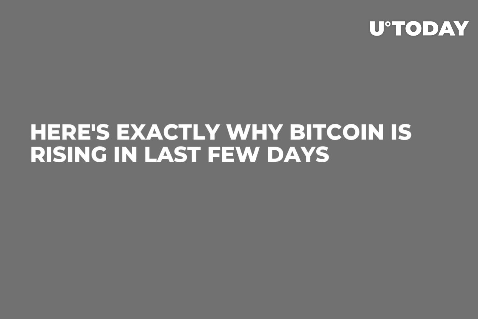 Here's Exactly Why Bitcoin Is Rising in Last Few Days - U.Today