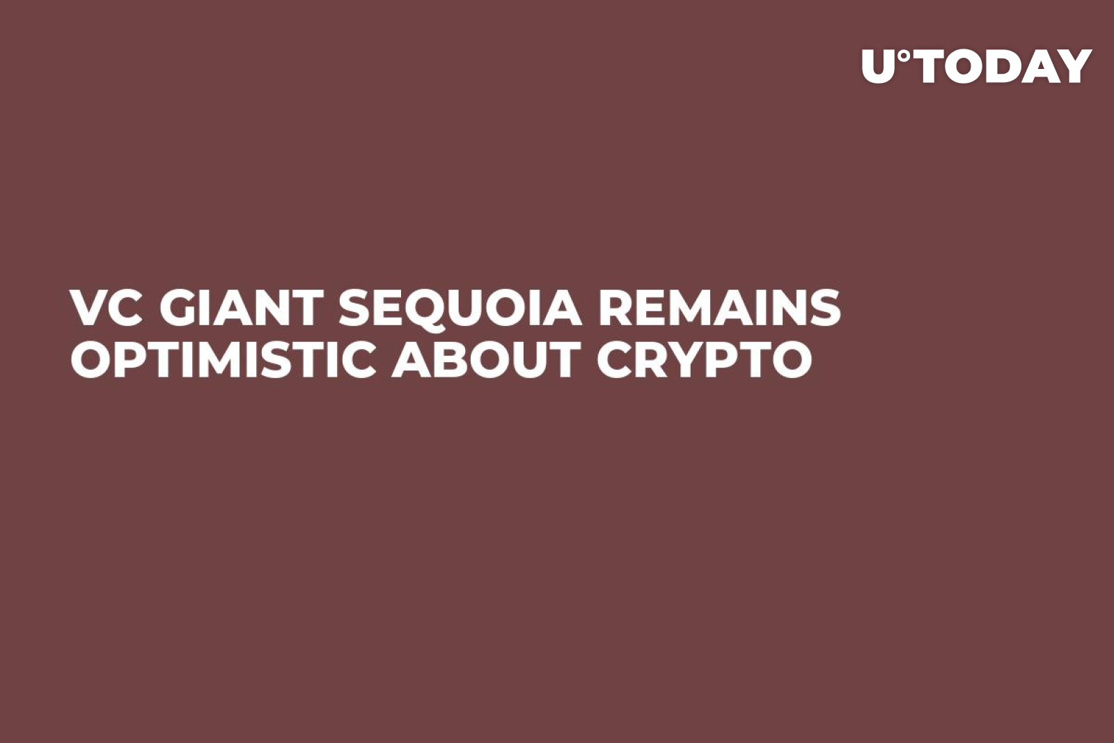 Sequoia crypto portfolio (82) foto