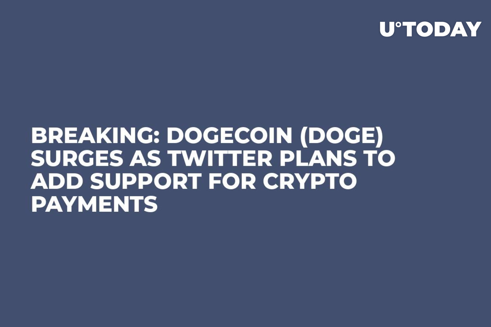 Dogecoin (DOGE) در حالی که توییتر قصد دارد پشتیبانی از پرداخت های رمزنگاری را اضافه کند، افزایش می یابد