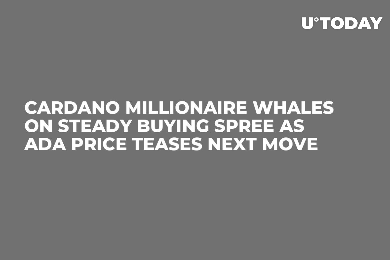 Cardano Millionaire Whales on Steady Buying Spree as ADA Price Teases Next  Move - U.Today