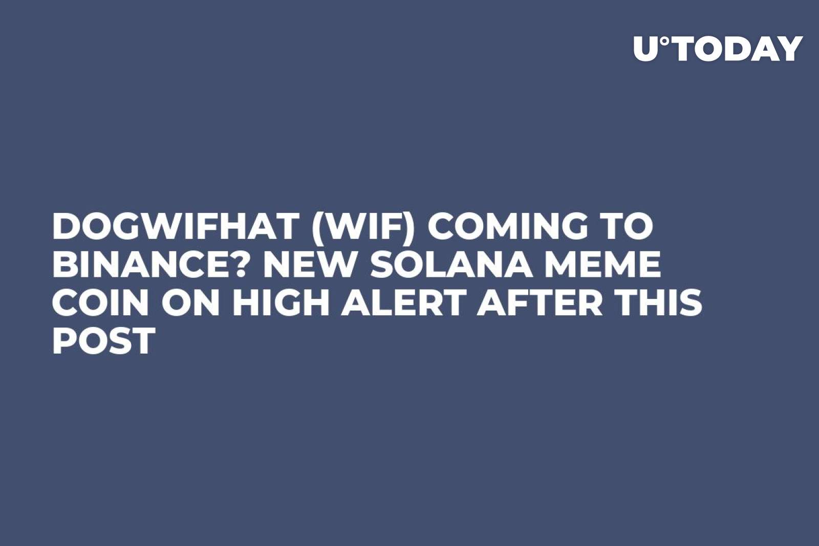 Dogwifhat (WIF) Coming to Binance? New Solana Meme Coin on High Alert After  This Post - U.Today