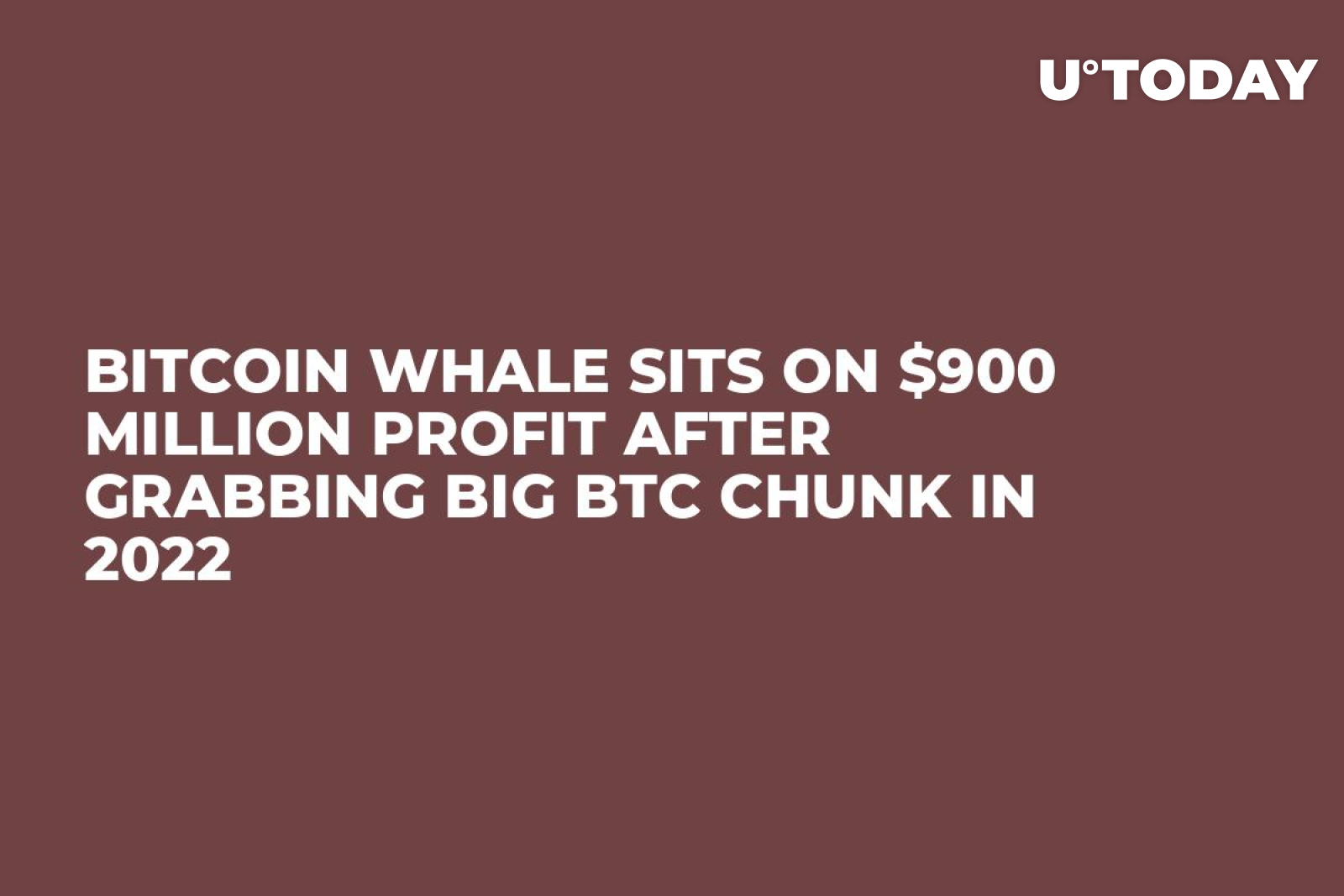 Bitcoin Whale Sits on $900 Million Profit After Grabbing Big BTC Chunk in  2022 - U.Today