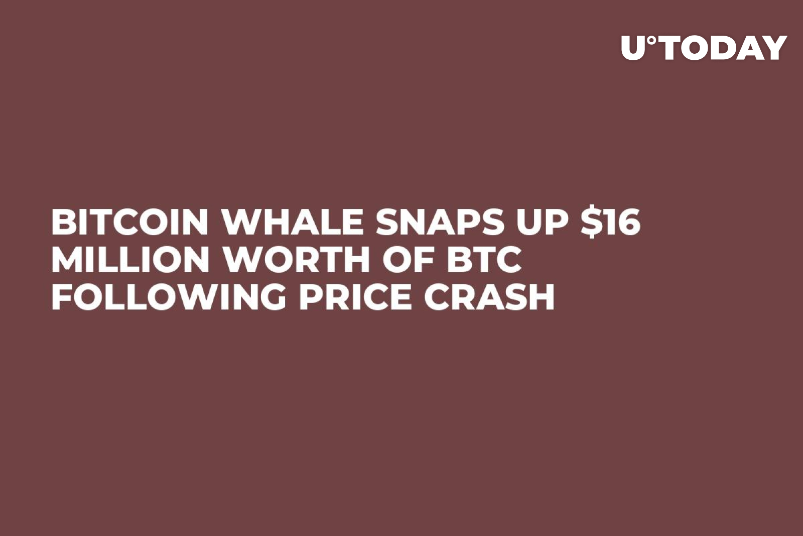 Bitcoin Whale Snaps Up $16 Million Worth of BTC Following Price Crash -  U.Today