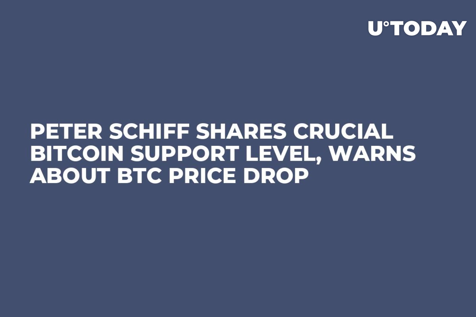Peter Schiff Shares Crucial Bitcoin Support Level, Warns About BTC Price  Drop - U.Today