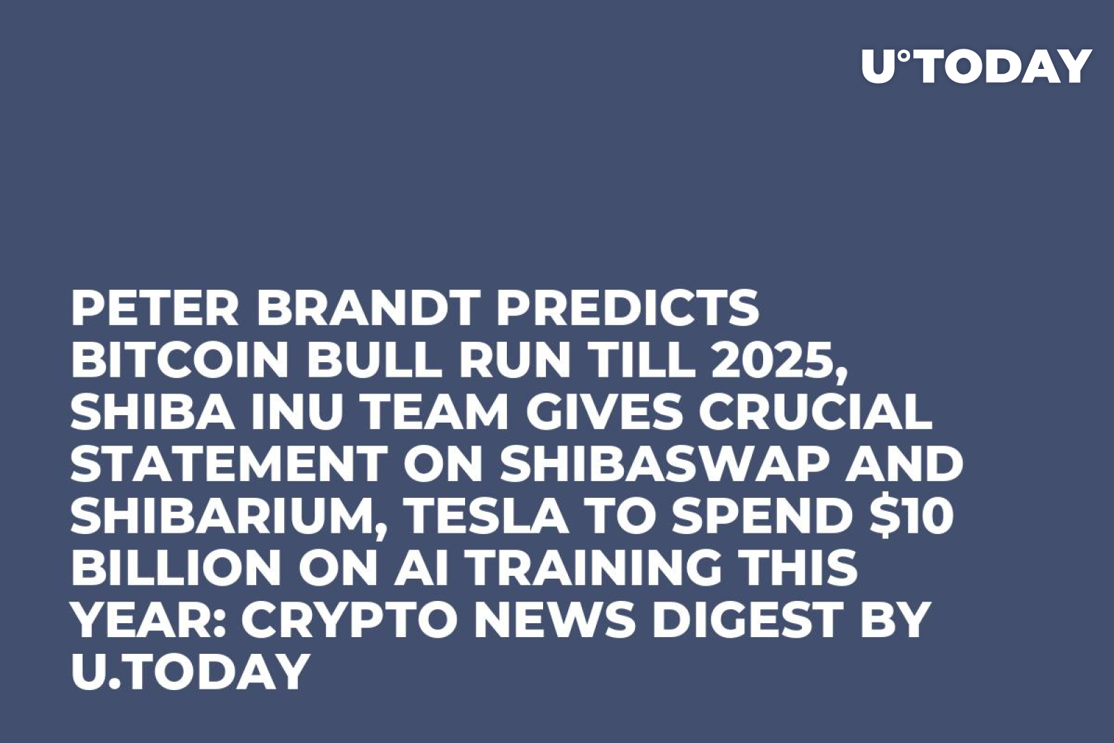 Peter Brandt Predicts Bitcoin Bull Run Till 2025, Shiba Inu Team Gives  Crucial Statement on ShibaSwap and Shibarium, Tesla to Spend $10 Billion on  AI Training This Year: Crypto News Digest by
