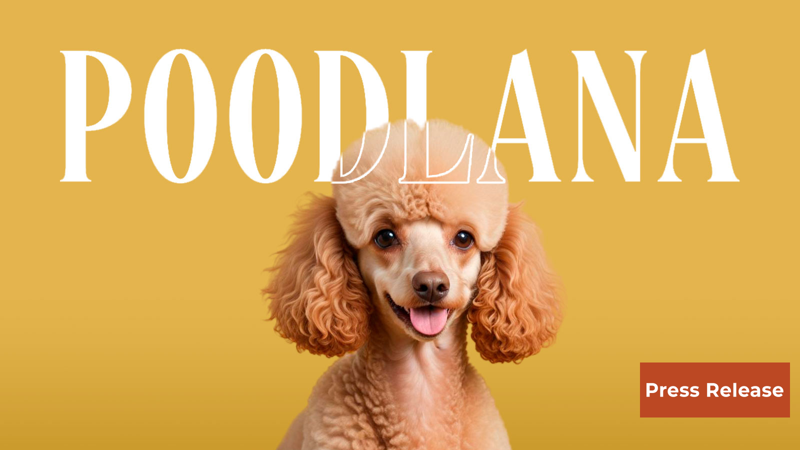 The Rise of Meme Poodles: A New Dog Trend in the Crypto Scene?