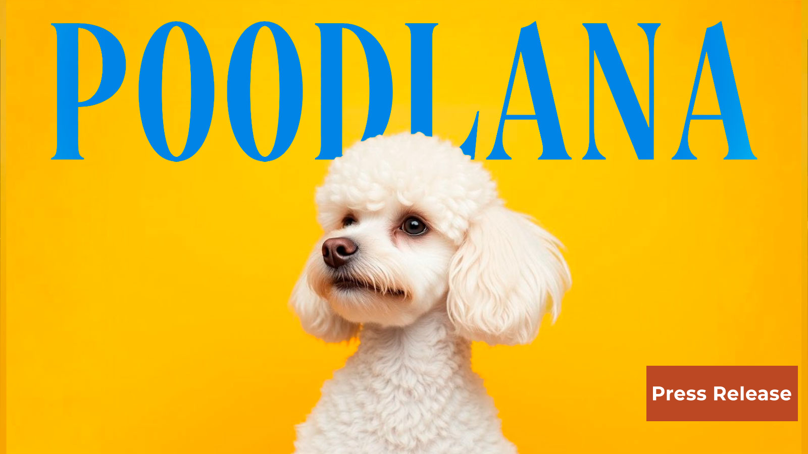 Poodlana Raises $300k in a Day: Exchange Listings Tomorrow