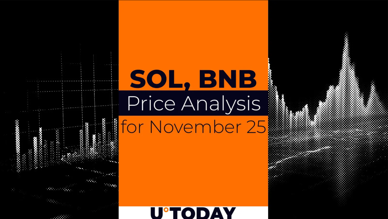 SOL and BNB Price Prediction for November 25