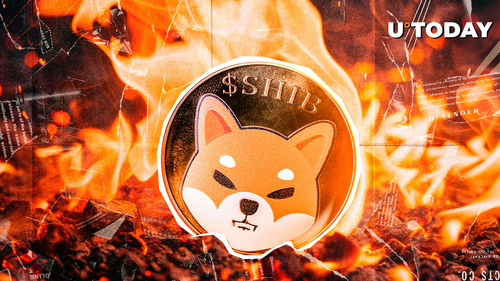 SHIB Burns Skyrocket 12,278% — What's Happening?