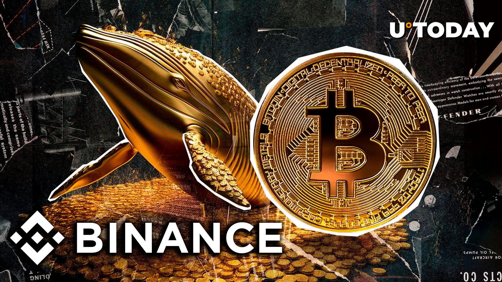 900 BTC Leaves Binance in Mysterious Whale Move, What's Happening?