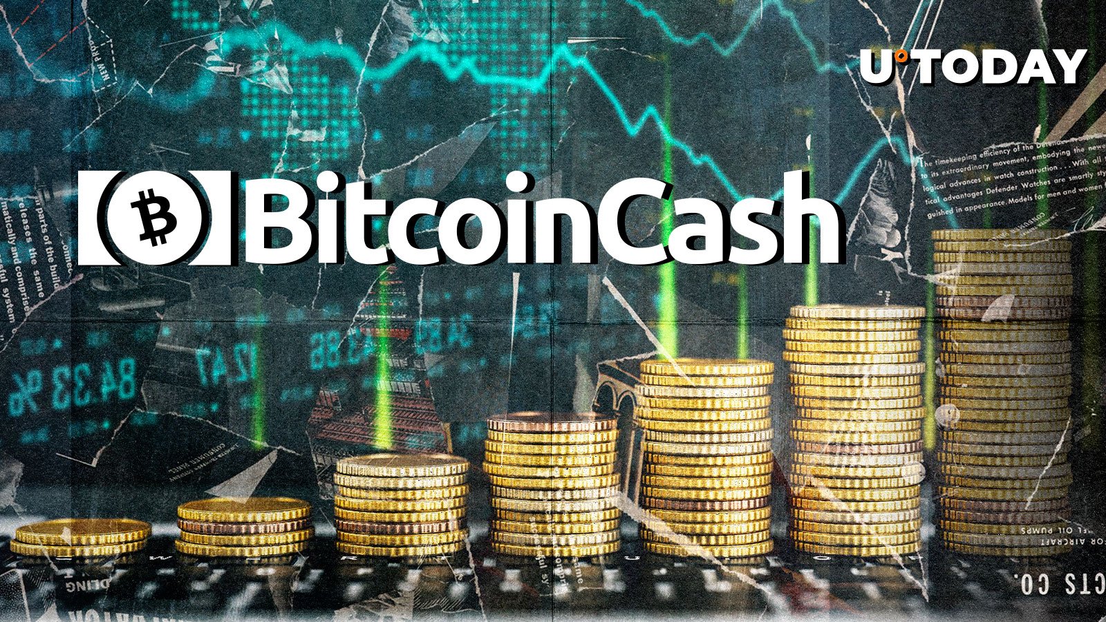 بیت کوین Cash (BCH) SkyRokets 121 ٪ فعالیت نهنگ: چه اتفاقی می افتد؟ بیت کوین Cash (BCH) SkyRokets 121 ٪ فعالیت نهنگ: چه اتفاقی می افتد؟