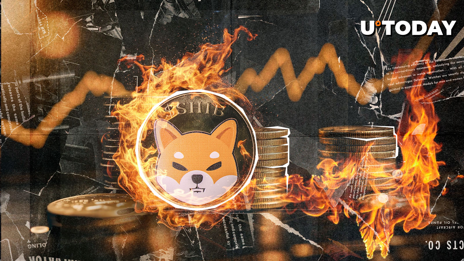 سوختگی Shiba Inu با 93 ٪ فرو می ریزد ، آیا از نظر تنظیم مجدد Shib Big؟