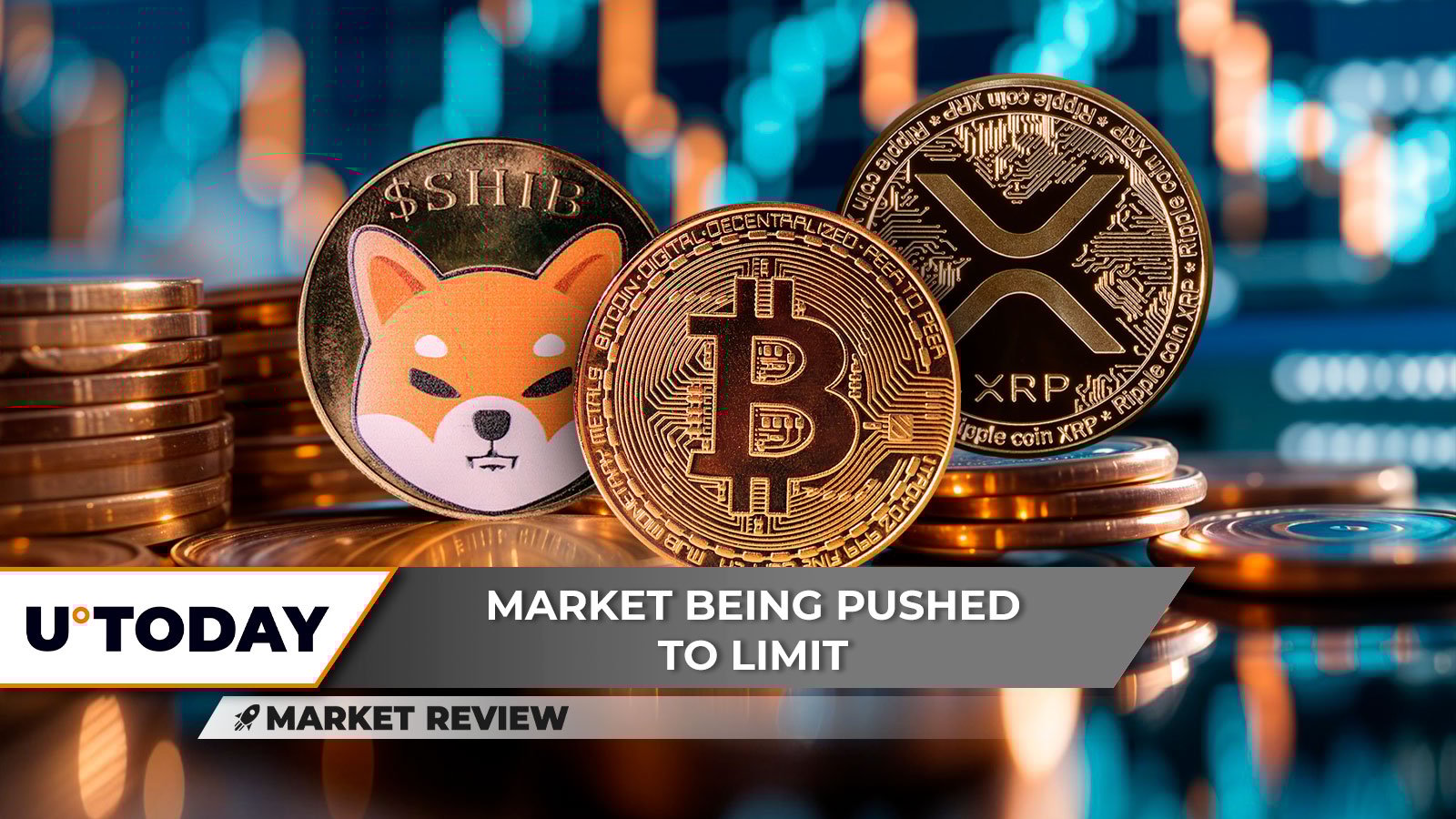 Shiba Inu (SHIB) Bears Destroyed, Bitcoin (BTC) Price Squeeze Next, This Is XRP's Chance