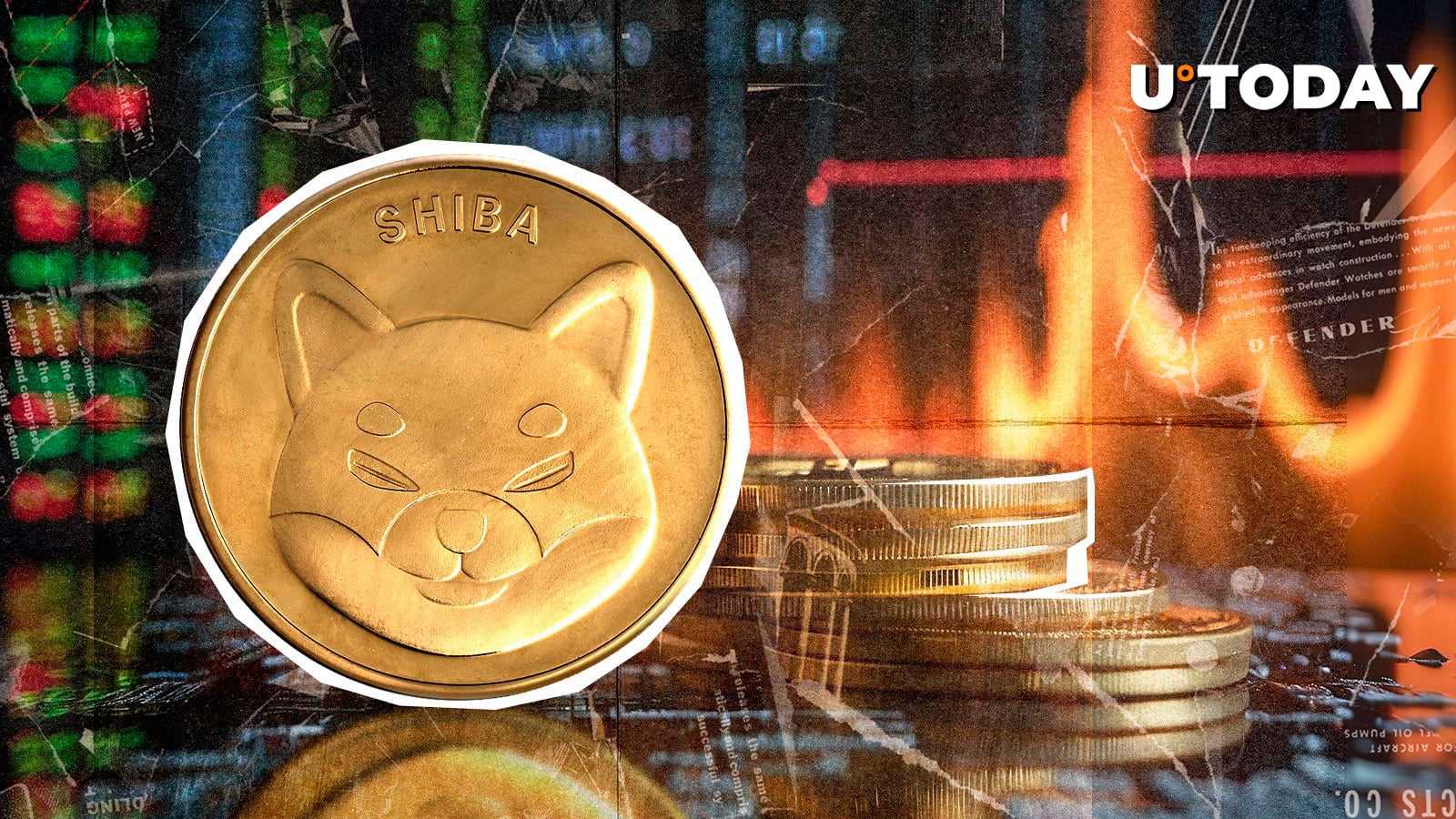 شبکه Shiba Inu Temel در حال گسترش است ، در اینجا ضبط بزرگ است