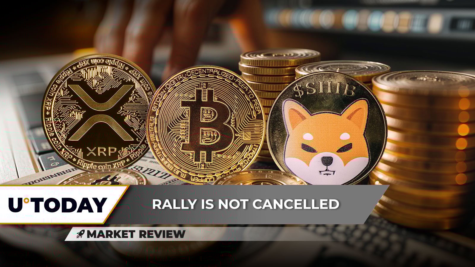 Bitcoin's 2025 Dominance Cracks, XRP: Top 5 Rally in 2025, Shiba Inu (SHIB): Key Breakthrough in Process?