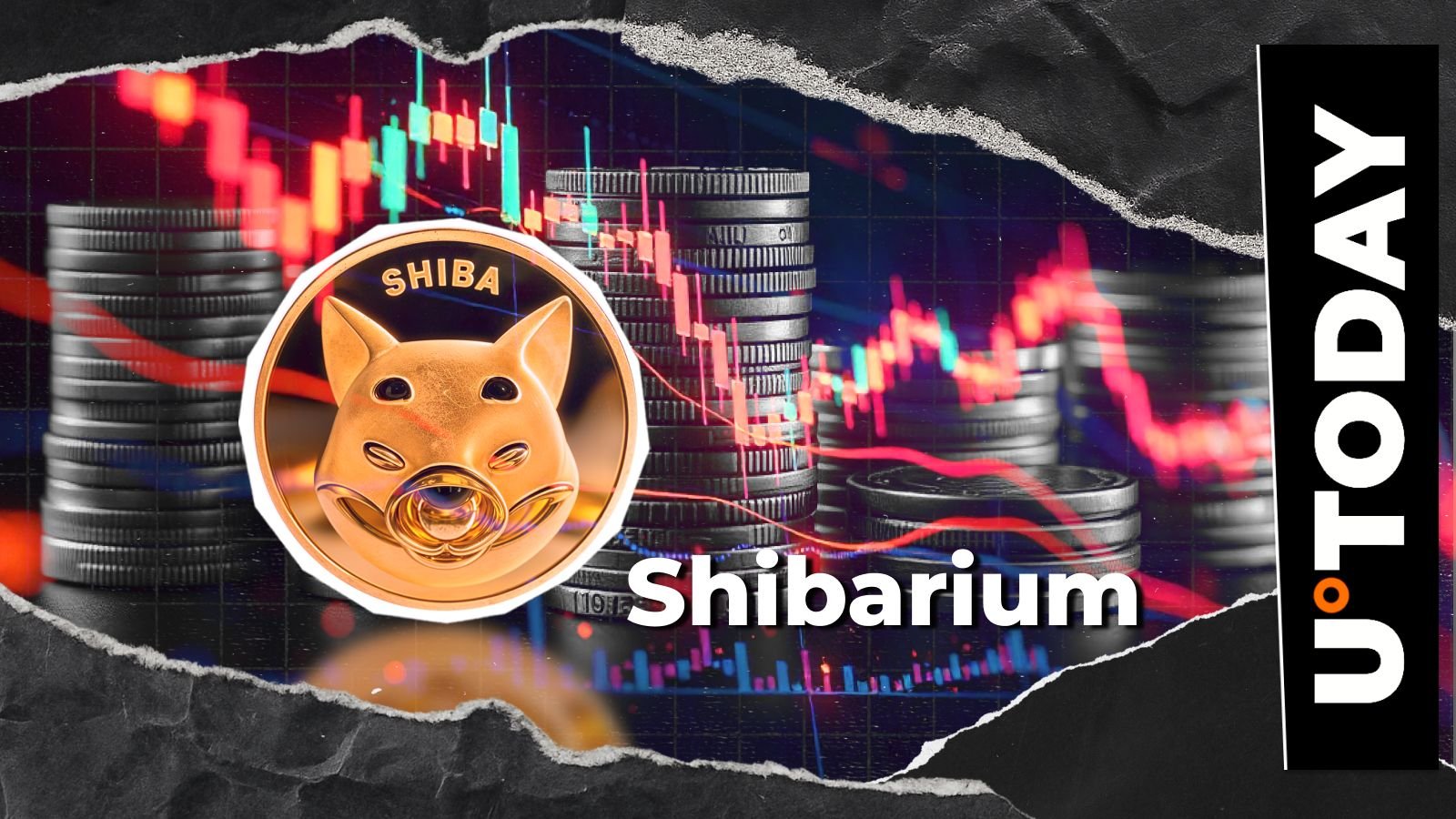 Shiba Inu: Shibarium Hit With 99.8% Drop as Transactions Hit Rare Low – U.Today