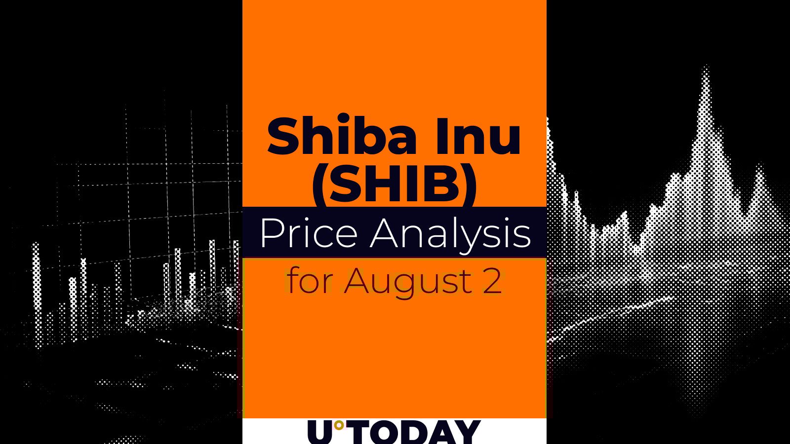 SHIB Price Prediction for August 2