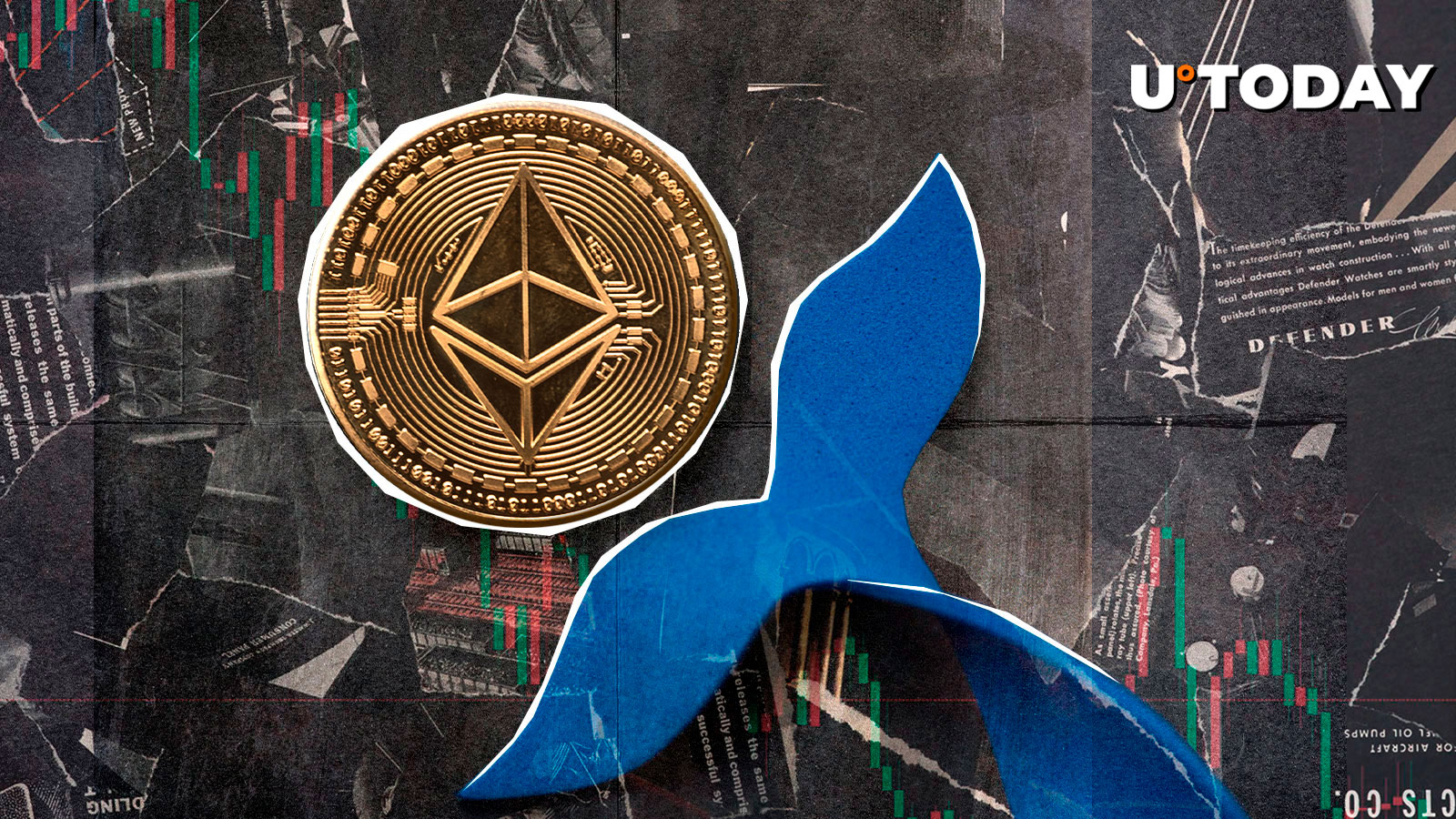Ethereum whale addresses fell 12% in 2023 amid DeFi growth