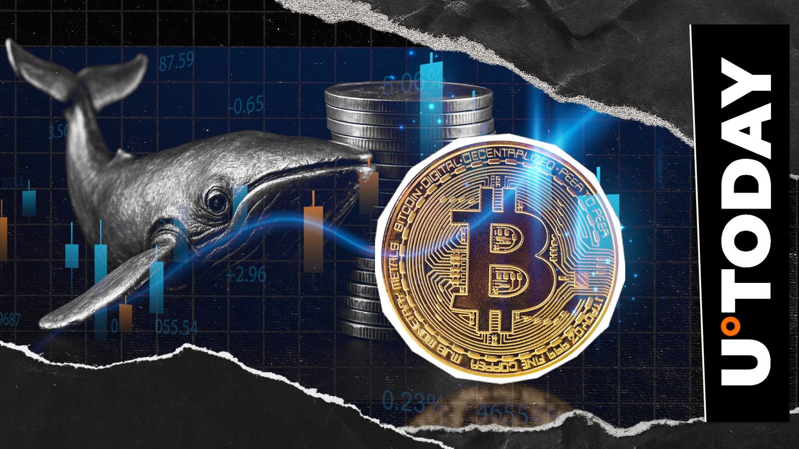 Bitcoin Whale From Satoshi Era Breaks Silence With 640,000% Profit After 13 Years – U.Today