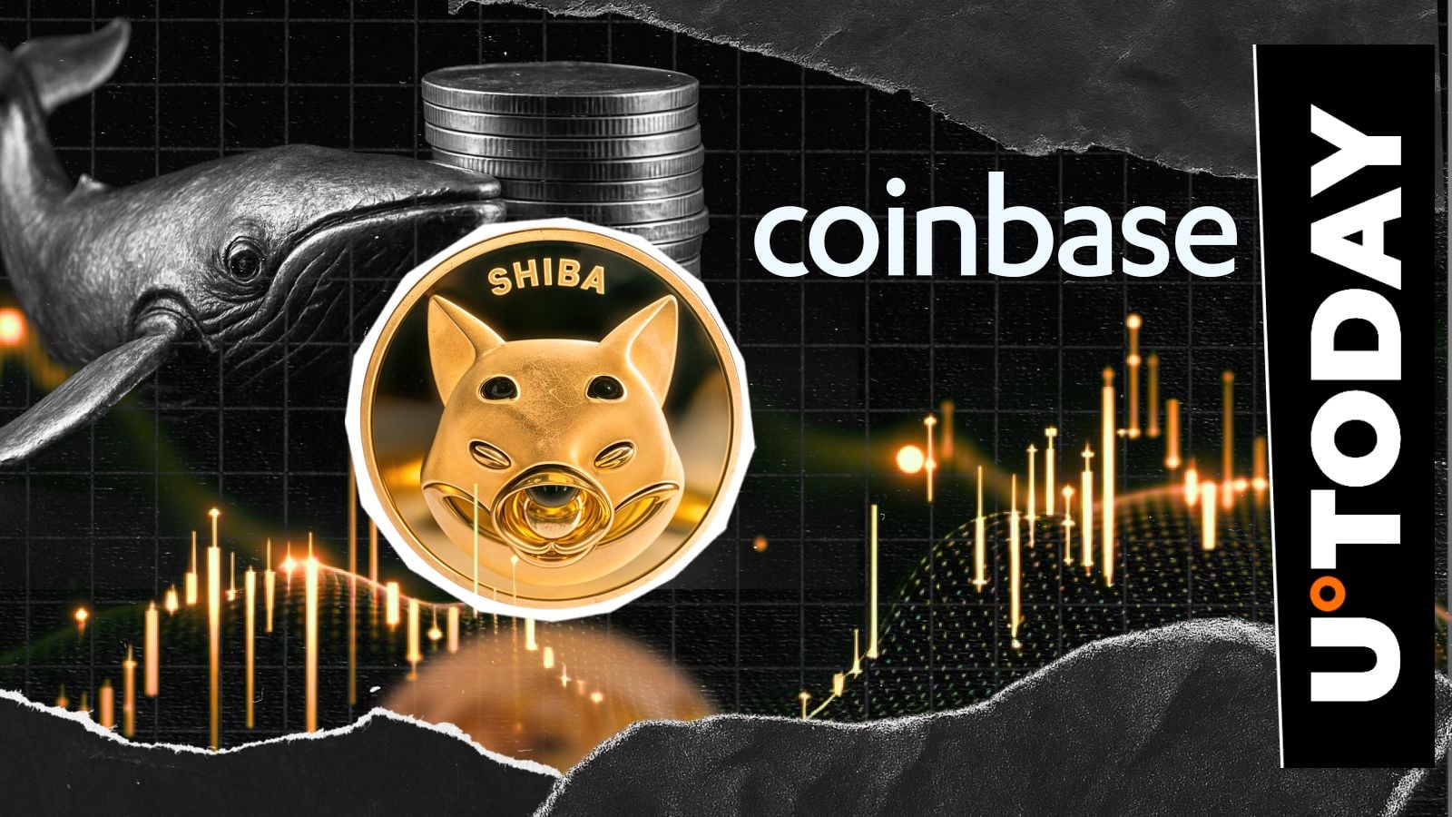 Unknown Coinbase whale acquires 335.982 billion SHIB tokens before October
