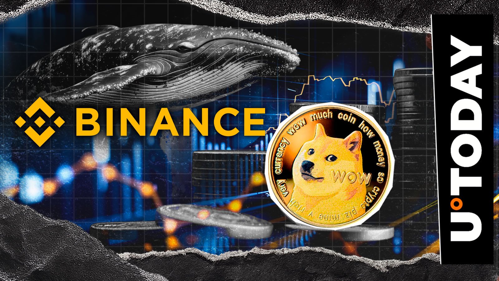 10,366,683 DOGE Out of Binance as Dogecoin Whale Turns Meme Coin Bull – U.Today