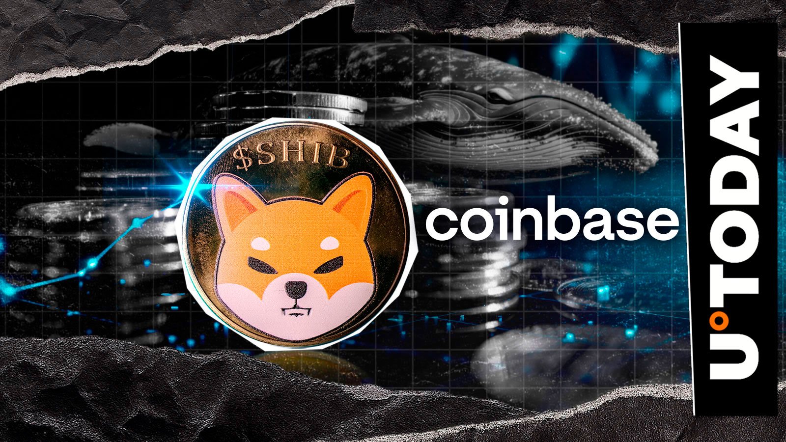 Coinbase Whale Collects 139,150,244,953 SHIB After 70% Price Collapse