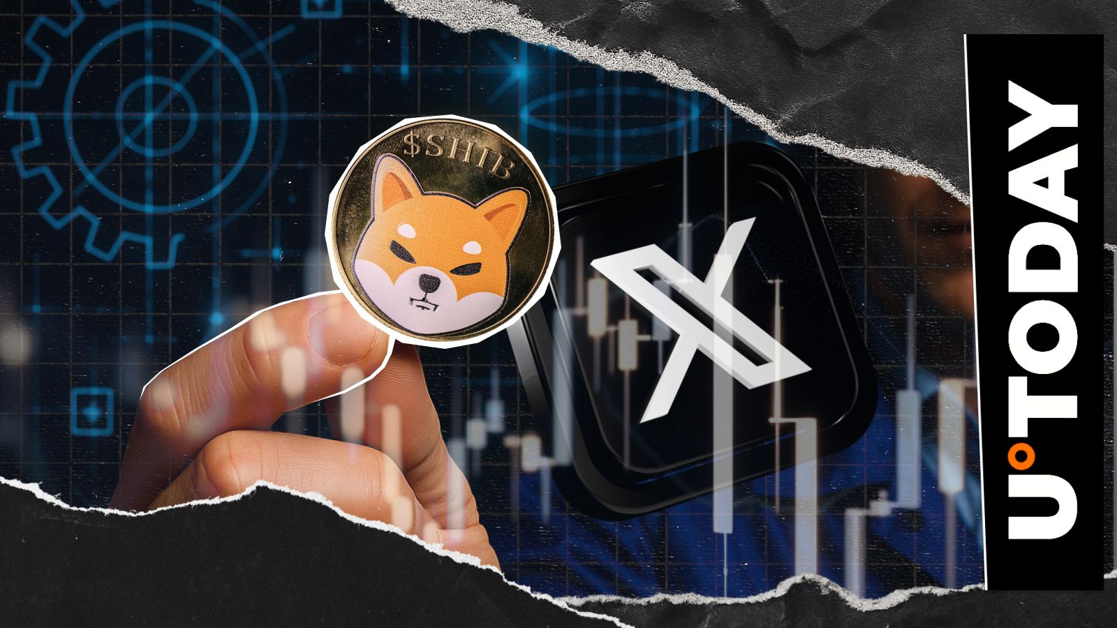 توسعه دهنده Shiba Inu سکوت را در X با چشم انداز عدم تمرکز – U.Today می شکند