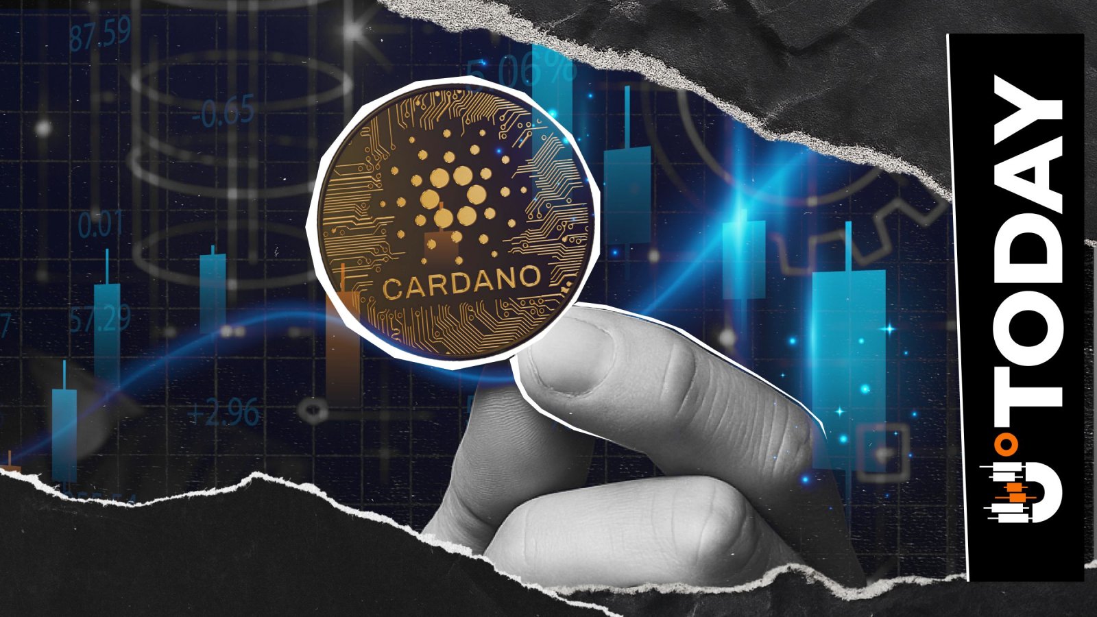 Cardano Founder Reacts to Kadena Blockchain's Unexpected Sunset Move – U.Today