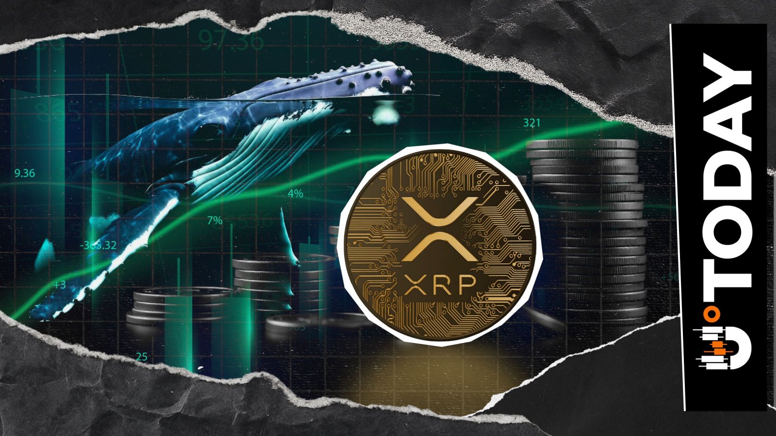 XRP Gets Unusual Investment From Hyperliquid Whale – U.Today