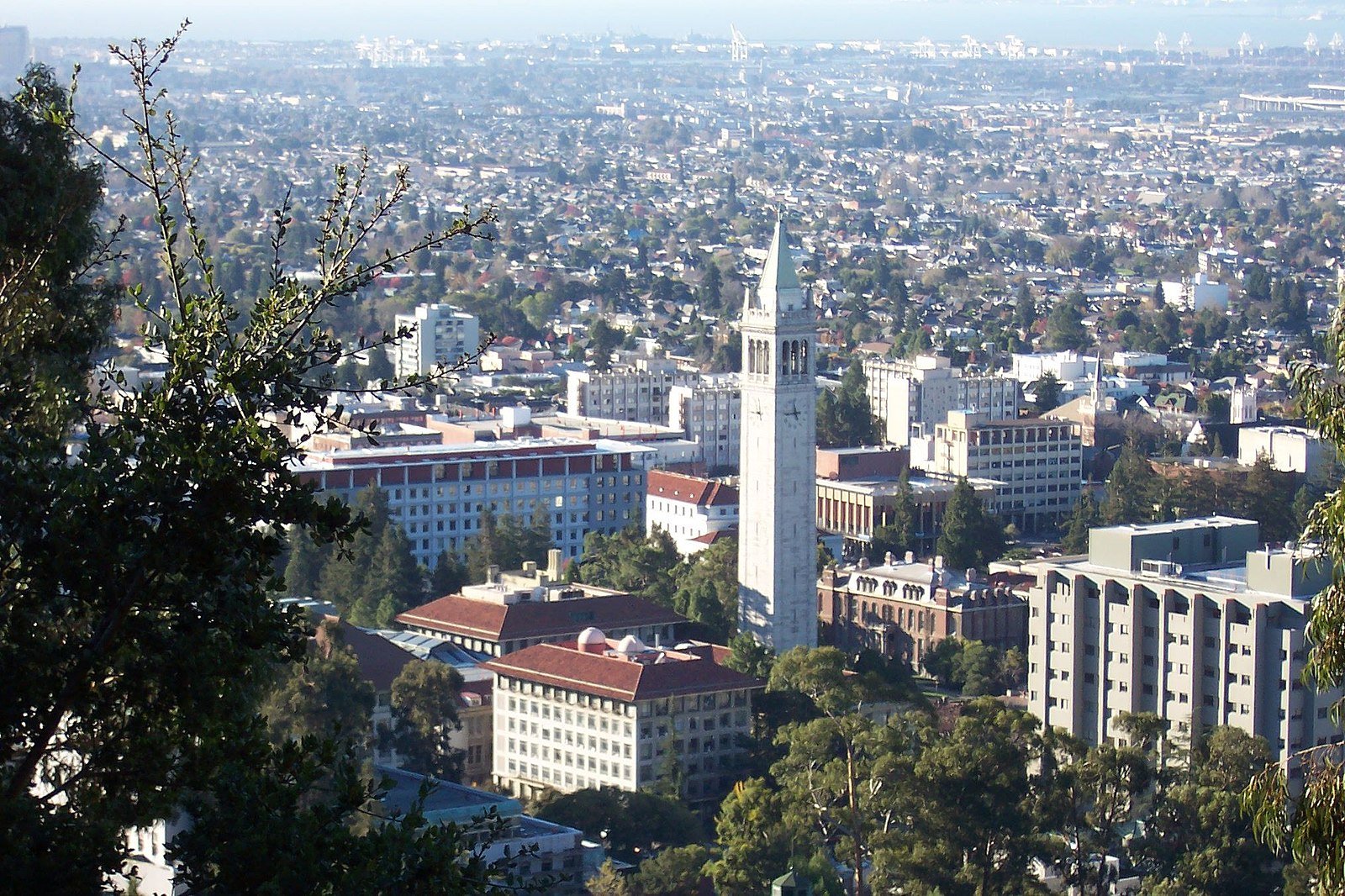 Ripple Funds UC Berkeley's New Crypto Research Center – U.Today