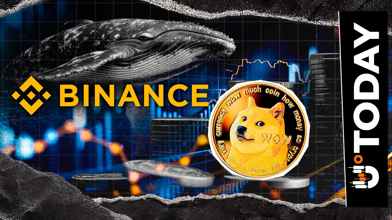 Mysterious Dogecoin Whale Reactivates With 15 Million DOGE Withdrawal From Binance – U.Today