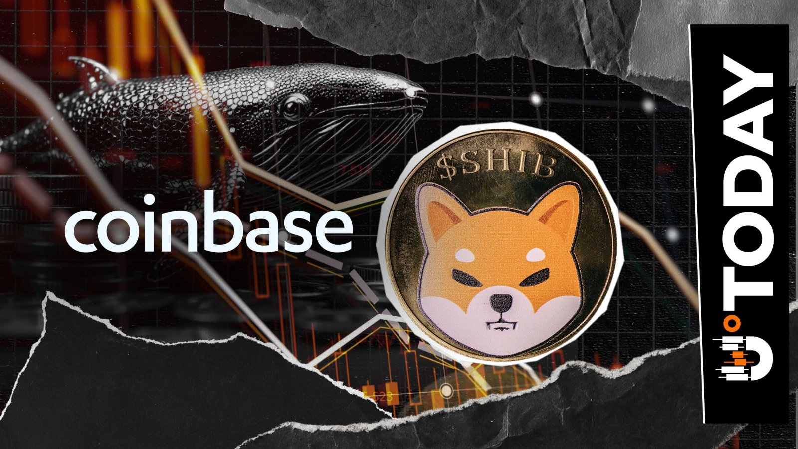 233,154,581,487 SHIB Whale Exits Coinbase Just 2 Days After Buying Shiba Inu Coin – U.Today