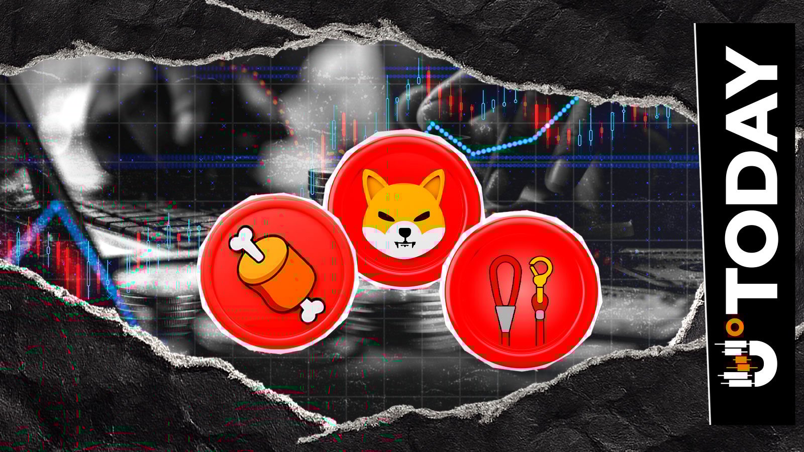 Shiba Inu Exec on SHIB, BONE, LEASH: 'Darkest Periods Eventually Turn' – U.Today