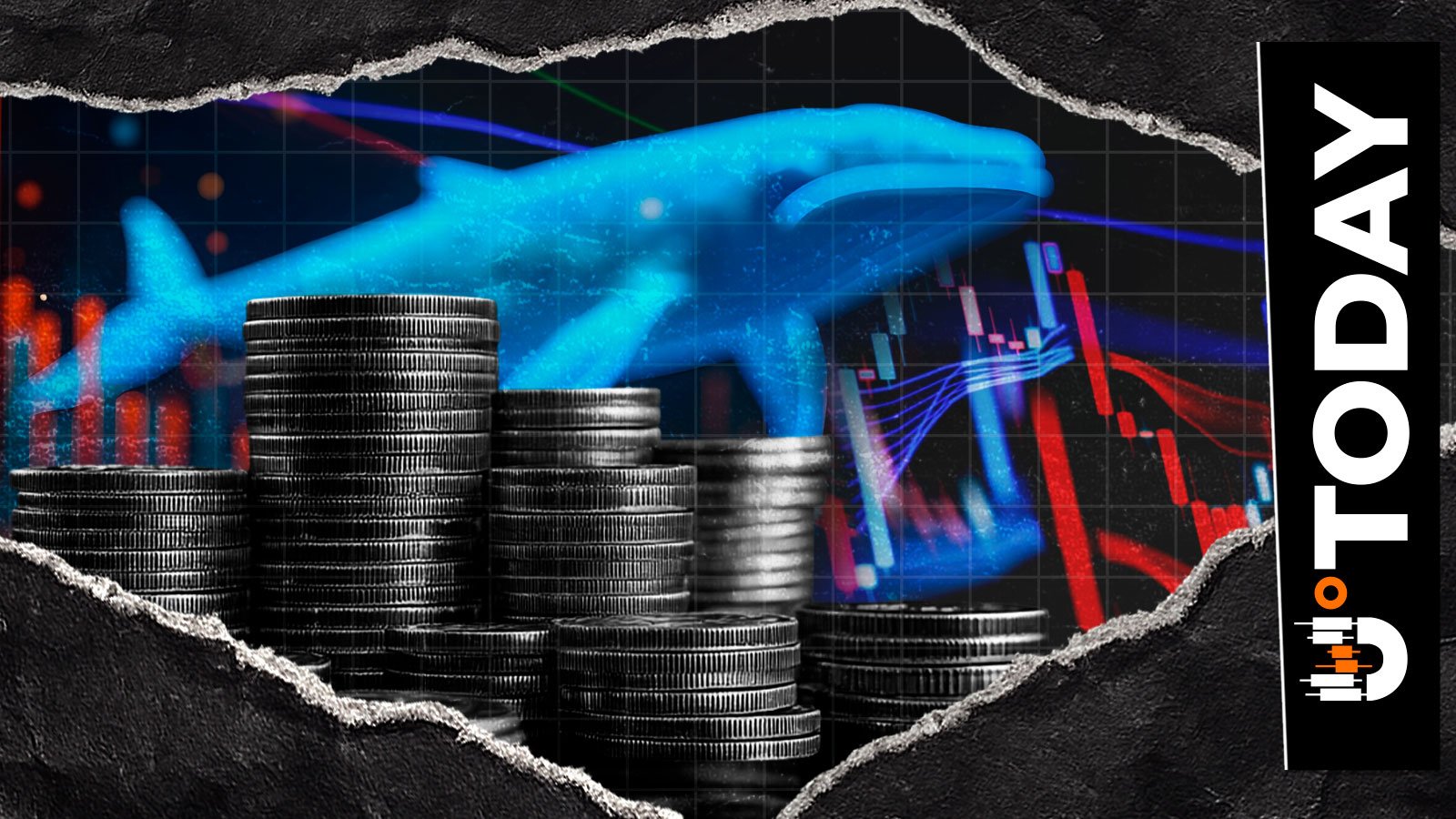 12 Liquidations in 12 Hours: Crypto Bloodbath Among Crypto Whales – U.Today