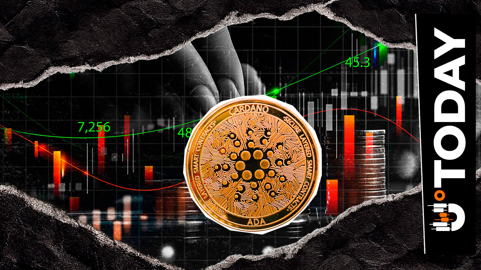 ‘New Cardano’ Kills Hope of Losing One Zero