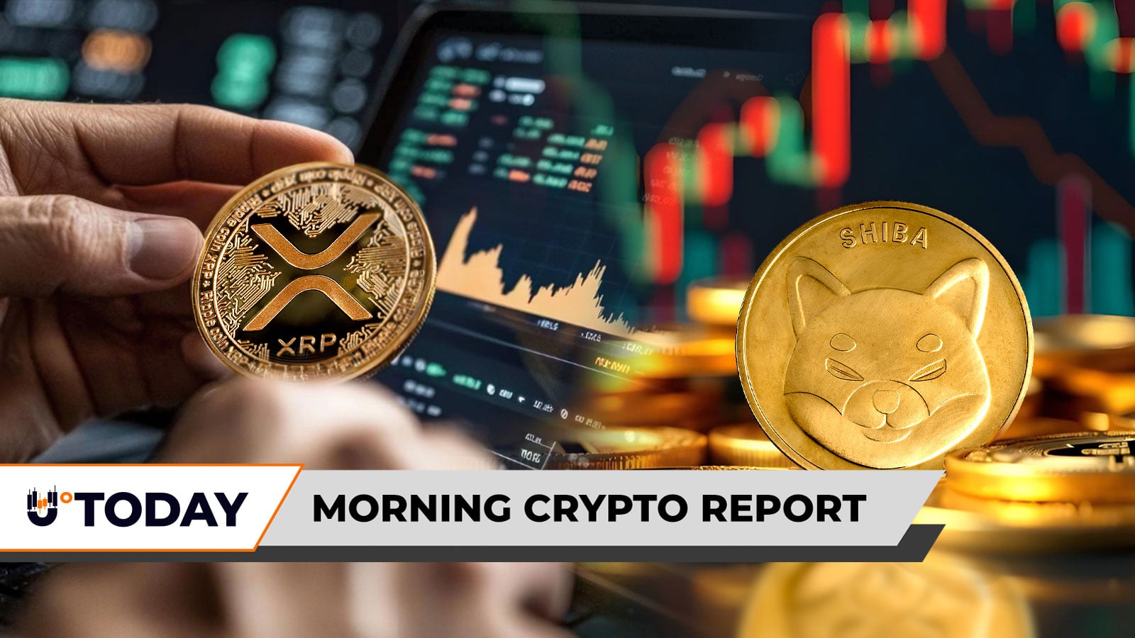 Morning Crypto Report: Ex-Ripple CTO Reveals Unknown XRP Story From 2013, Shiba Inu (SHIB) Rockets 30% in  Billion Meme Coin Comeback, Legendary Trader Suddenly Becomes Bitcoin Cash Bull