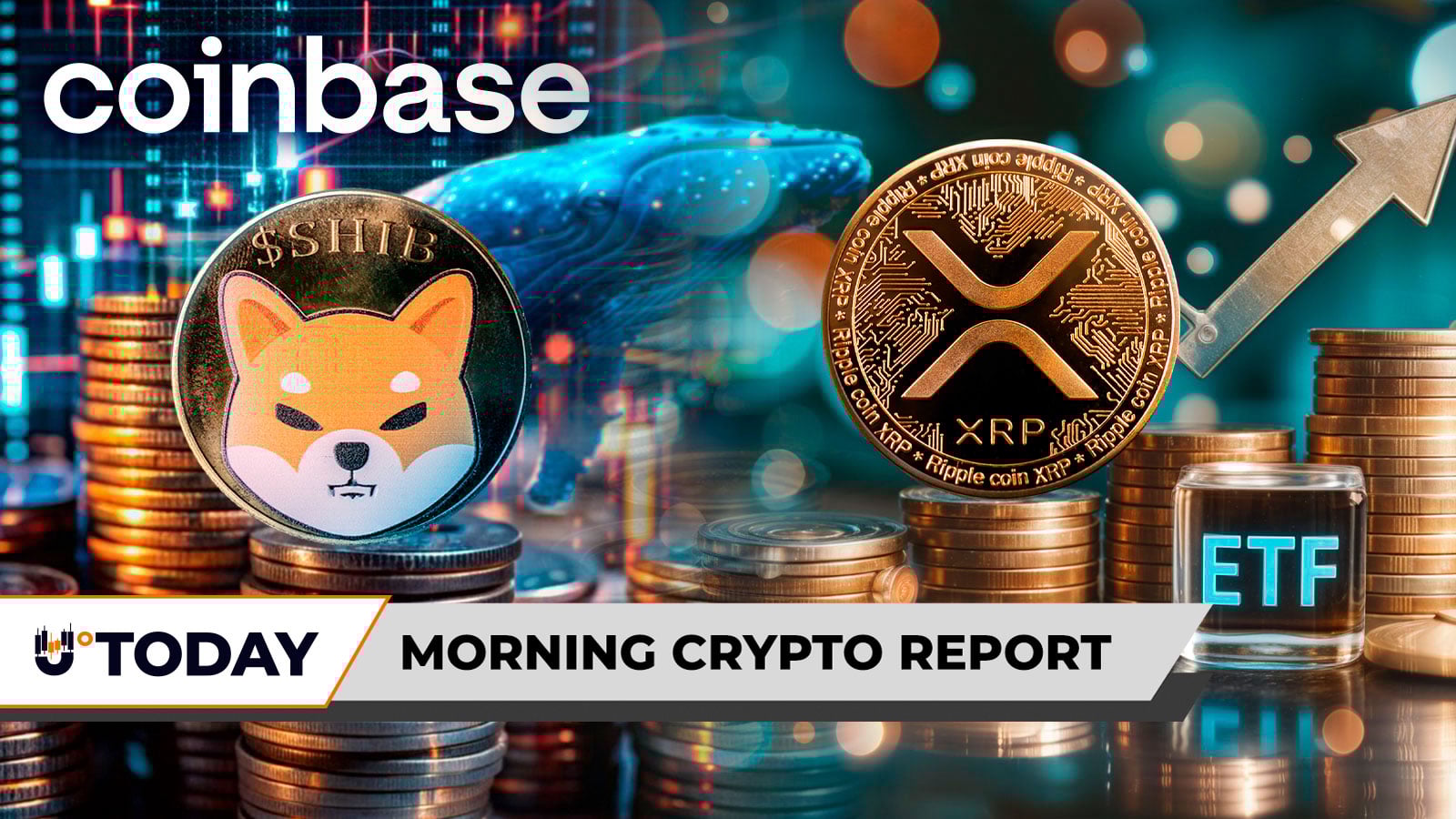 گزارش کریپتو صبح: XRP در بازار گاوی ETF خود به 63.1 میلیون دلار افزایش یافت، 23,799,579,141 SHIB: Coinbase Whale میلیاردها شیبا اینوس را گرفت و ناپدید شد، پیش‌بینی بازار رمزنگاری سازنده Dogecoin در بحبوحه Super Bowl Toe True -.