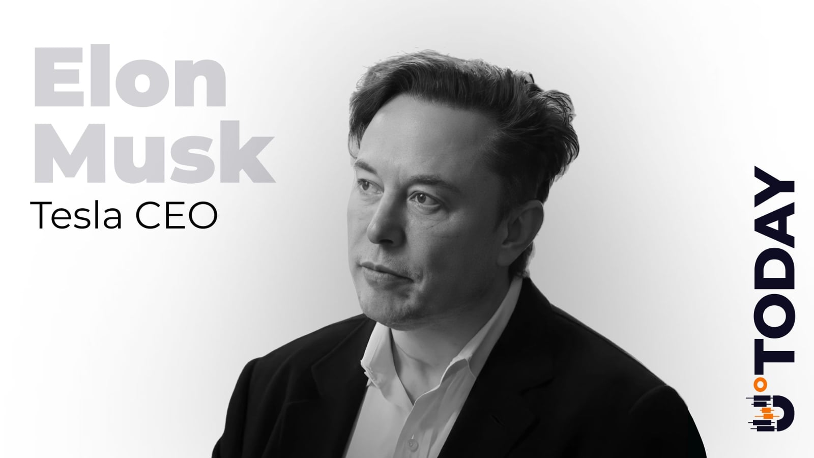 ‘Most Entertaining Outcome’: Did Elon Musk Endorse Dogecoin? – U.Today