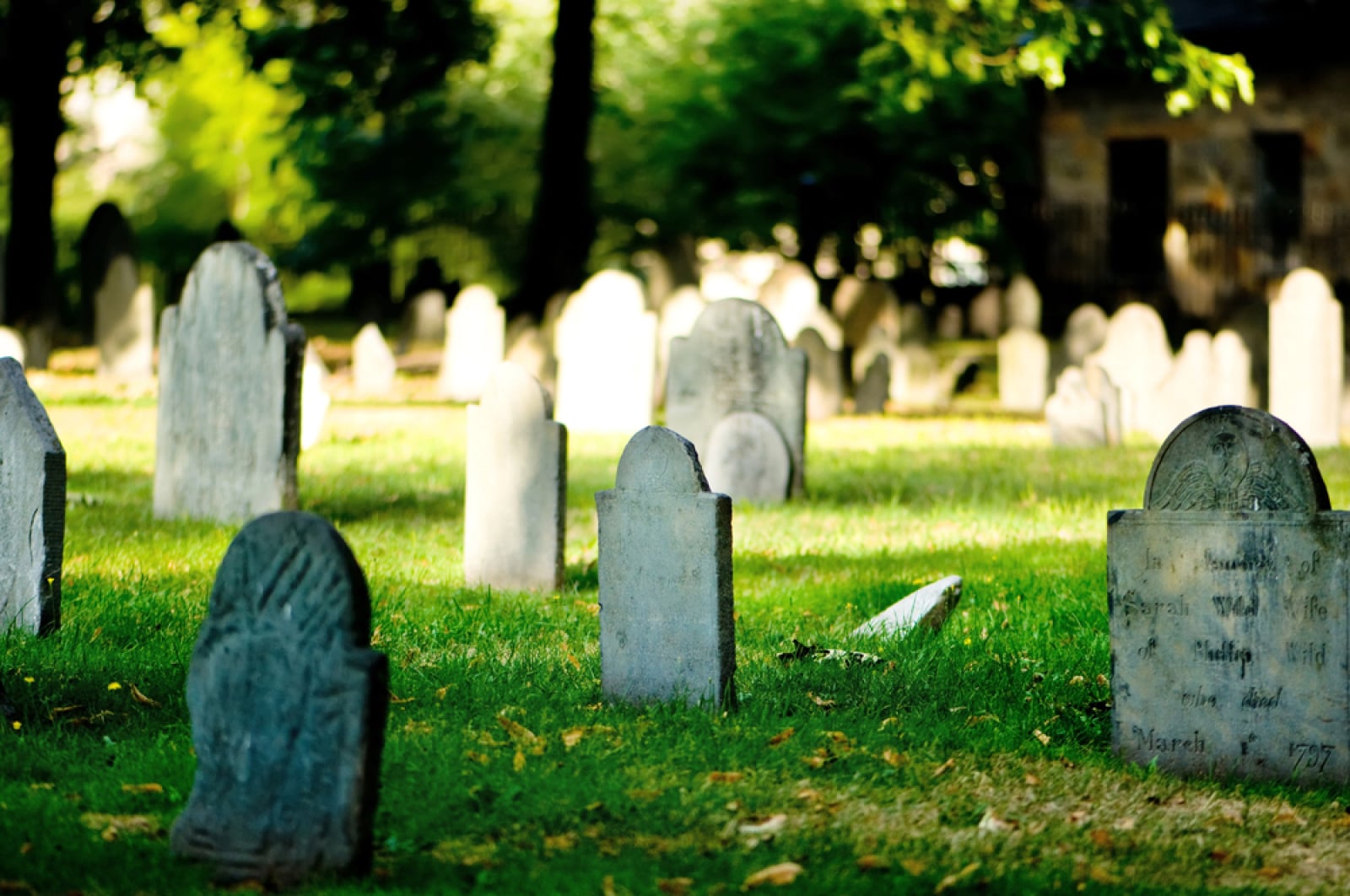 2026 Crypto Graveyard: 99 پروژه به طور رسمی بسته شد – U.Today 2026 Crypto Graveyard: 99 پروژه به طور رسمی بسته شد – U.Today