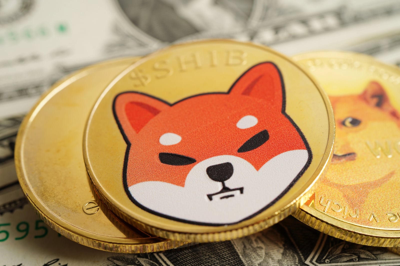 Shiba Inu Adds 60% in Weekly Spot Flows: Explaining What It Means for Price Health – U.Today