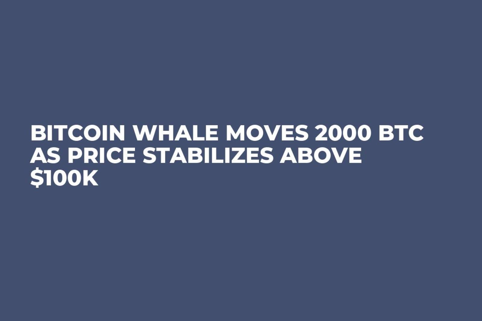 Bitcoin Whale Moves 2000 BTC as Price Stabilizes Above $100K - U.Today